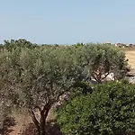 Capozza Maria Greca