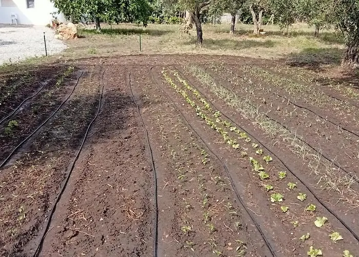 Capozza Maria Greca 3*