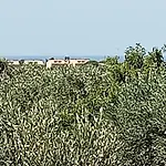 Pensjonat Capozza Maria Greca 3*
